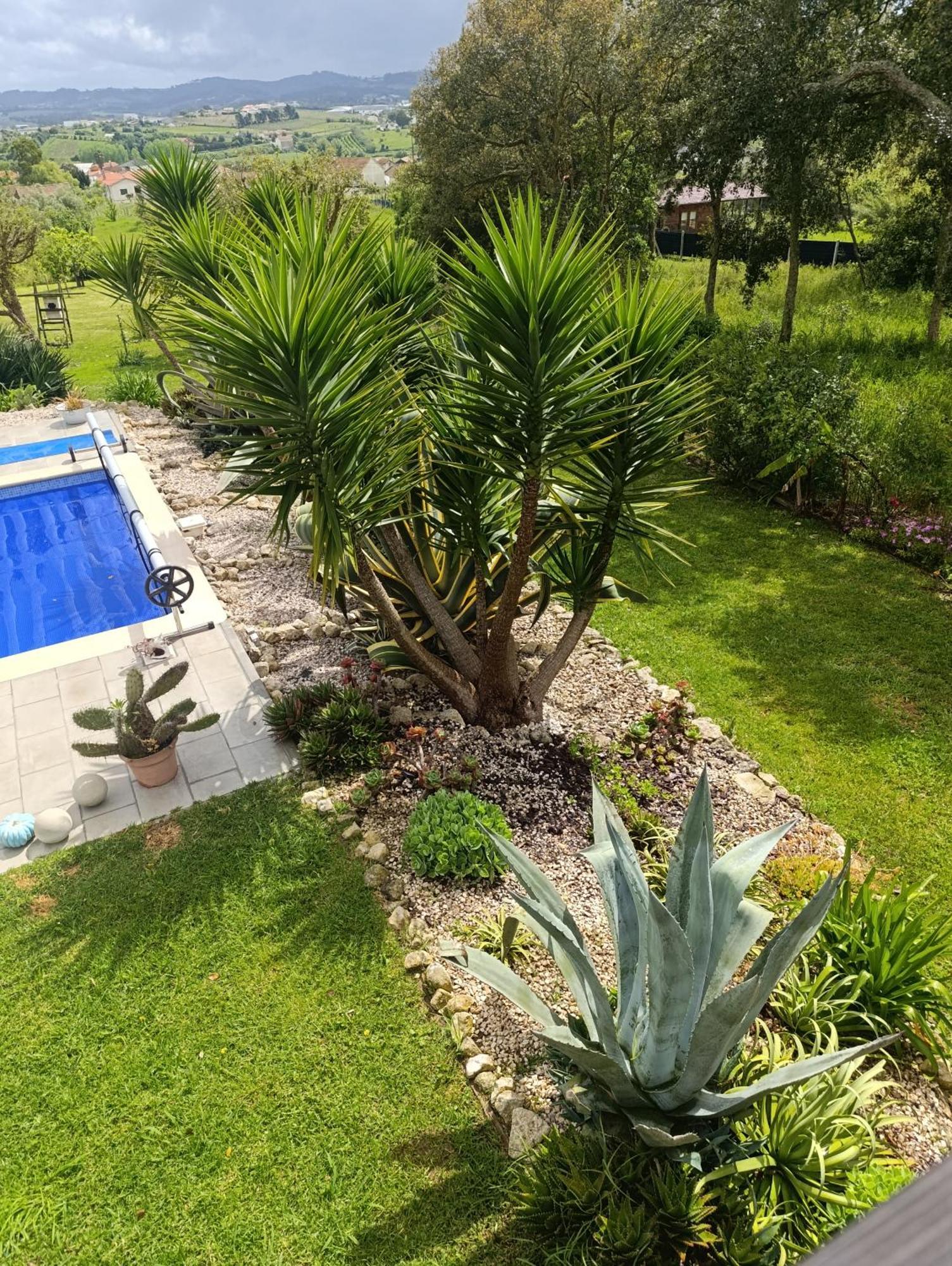 Gite Canto Azul Casal da Carreira Exterior foto